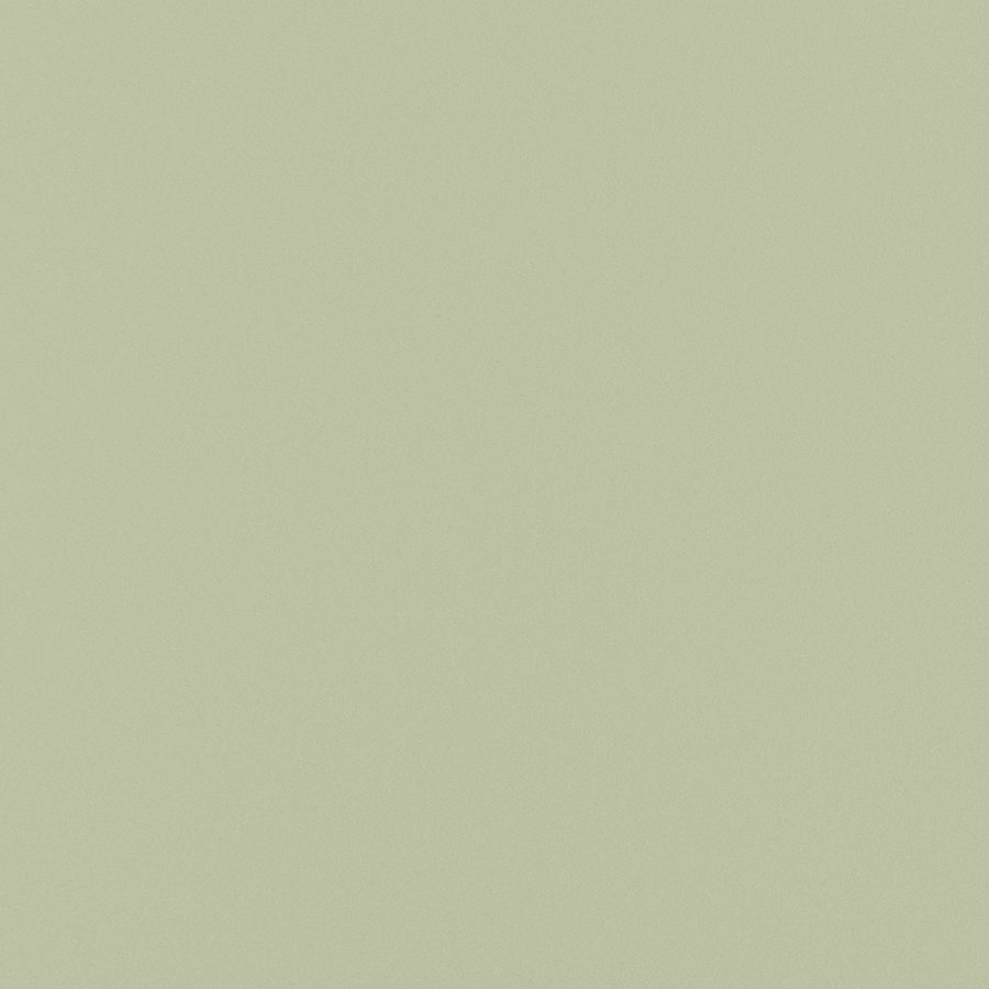 2541_verde-leccino_AR